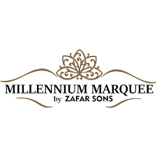 Zafar Sons